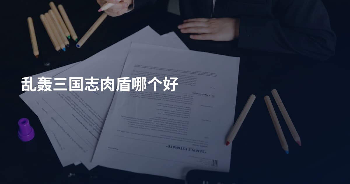 乱轰三国志肉盾哪个好