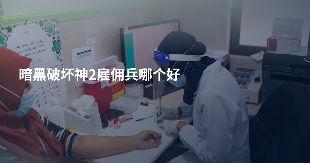 暗黑破坏神2雇佣兵哪个好