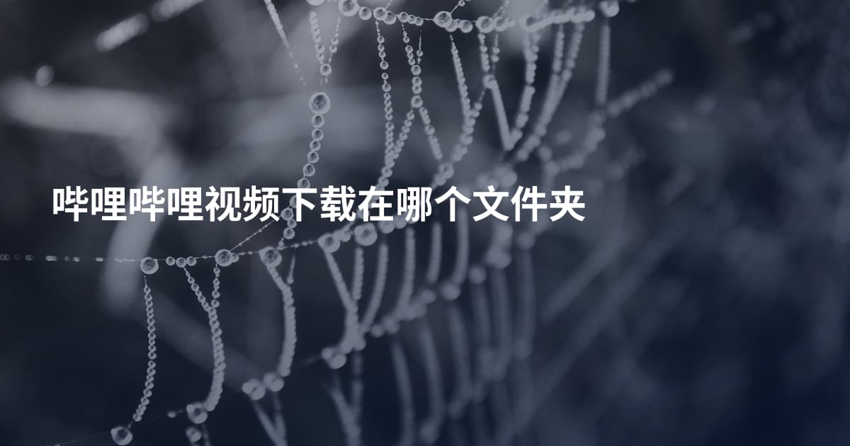哔哩哔哩视频下载在哪个文件夹