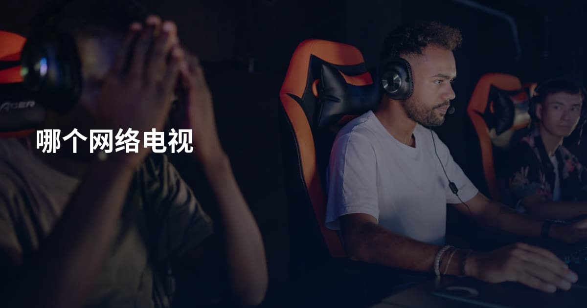 哪个网络电视