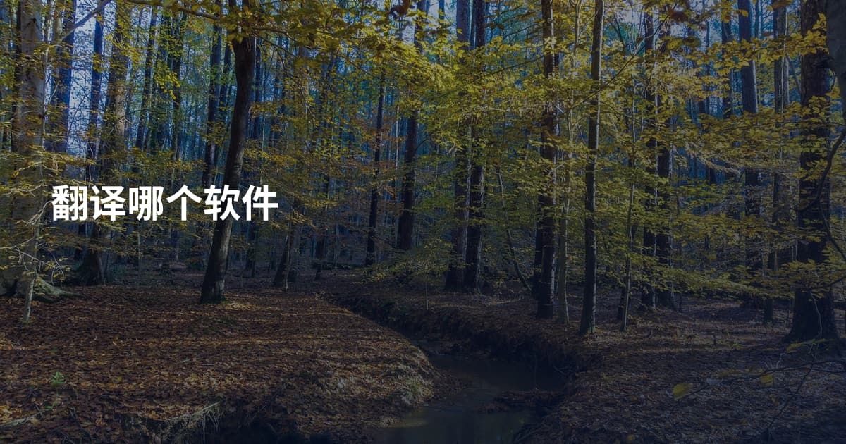 翻译哪个软件