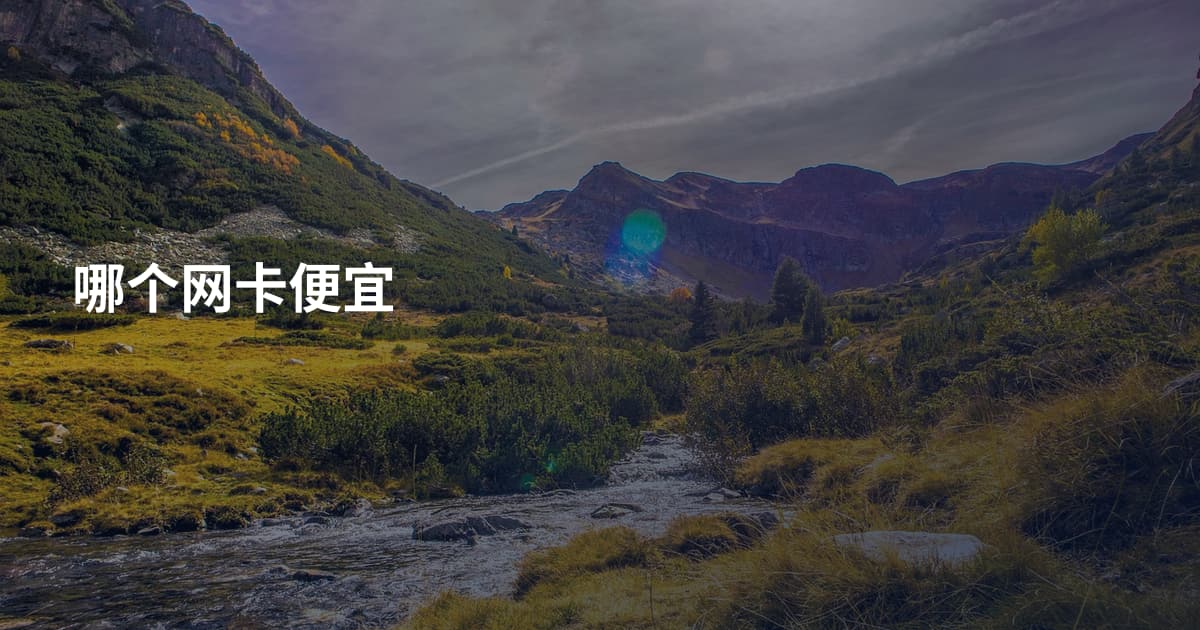 哪个网卡便宜