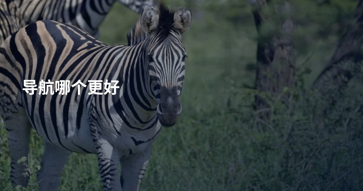 导航哪个更好
