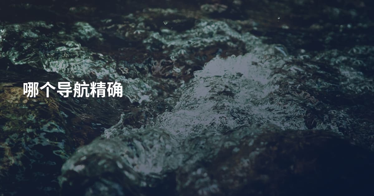 哪个导航精确
