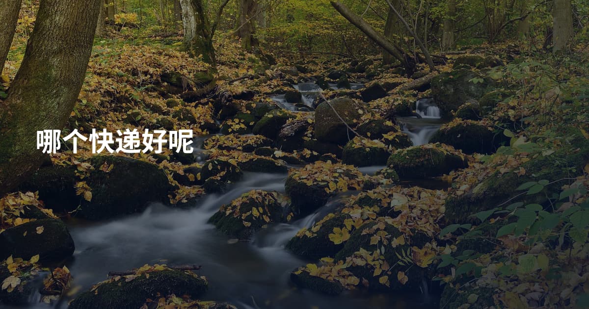 哪个快递好呢