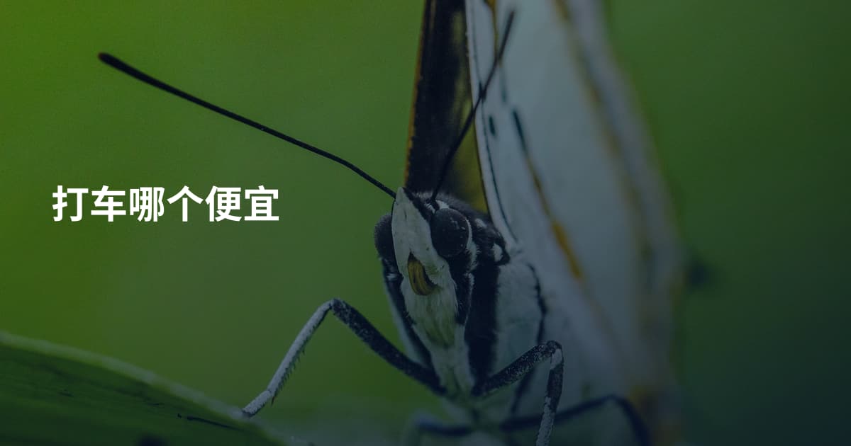 打车哪个便宜