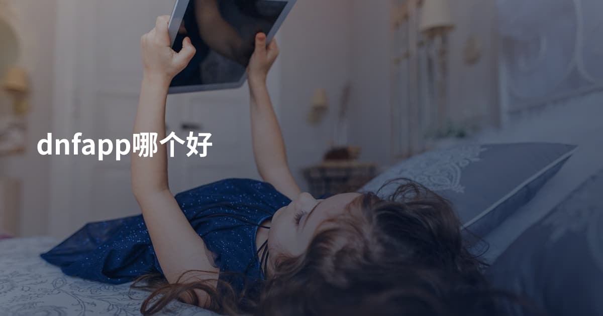 dnfapp哪个好