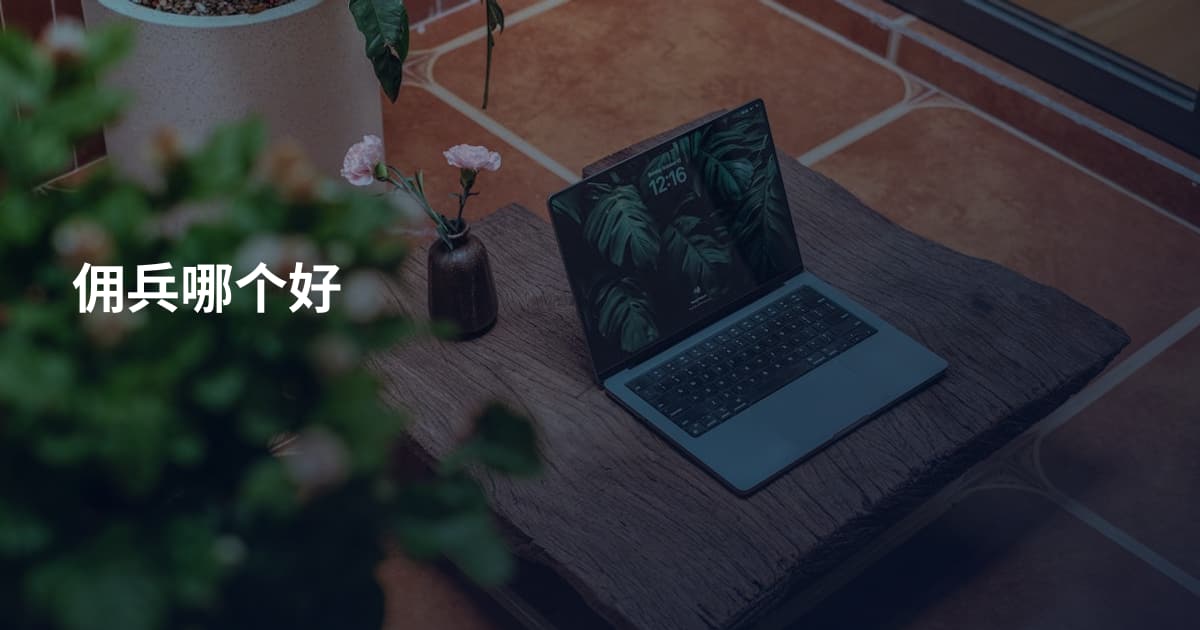 佣兵哪个好