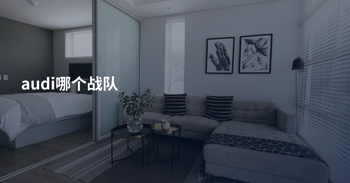audi哪个战队