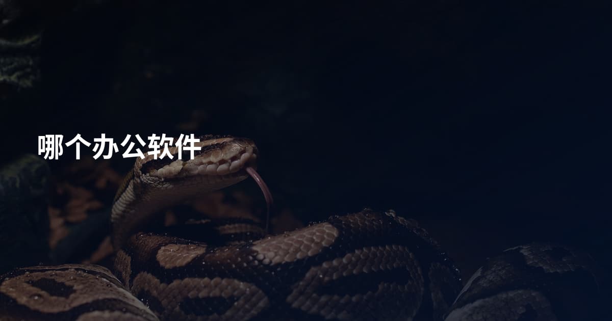 哪个办公软件