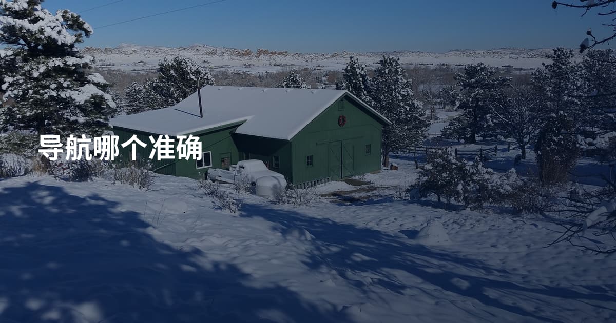 导航哪个准确