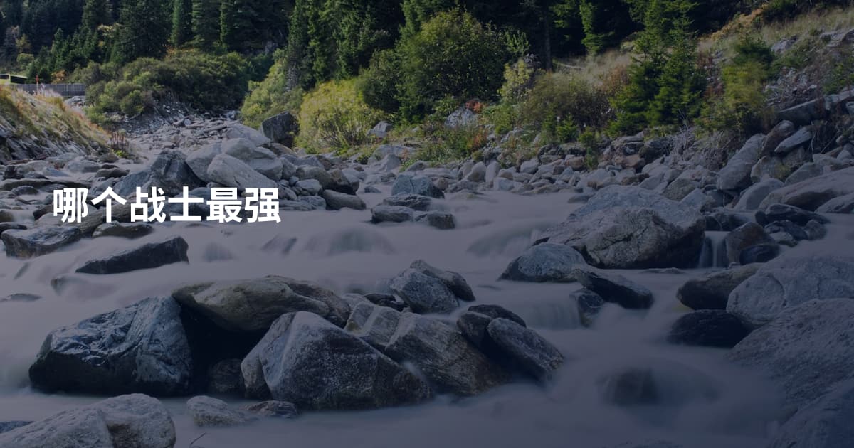 哪个战士最强