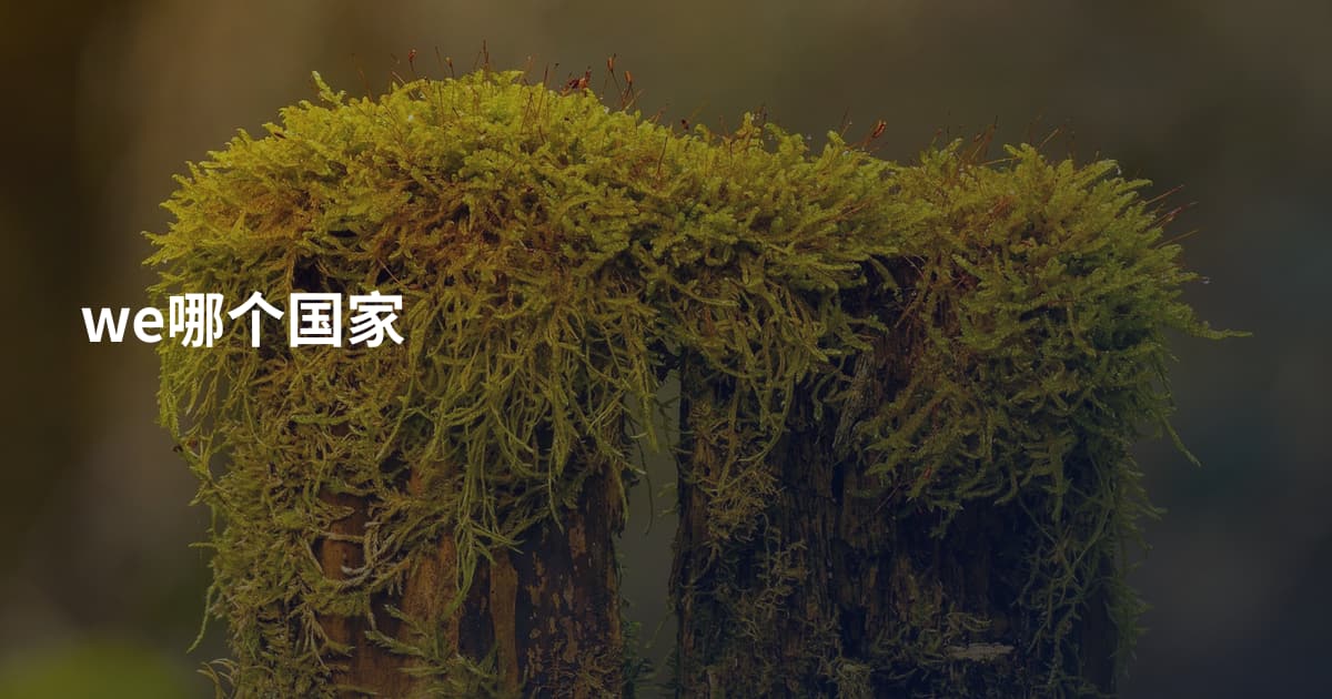 we哪个国家