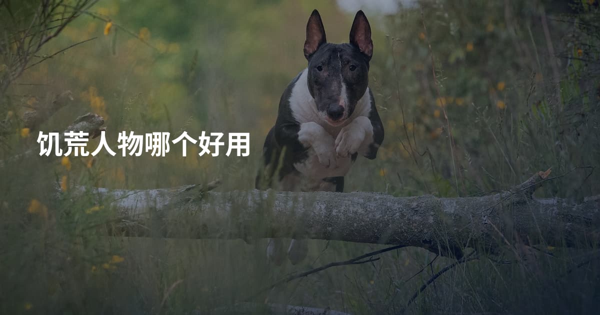 饥荒人物哪个好用