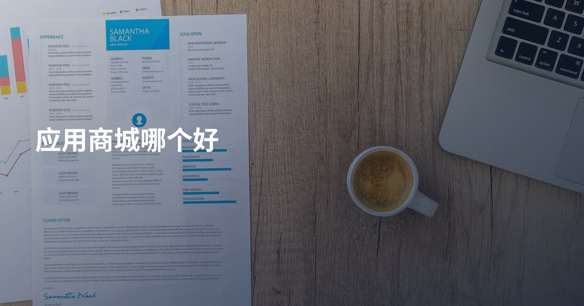 应用商城哪个好