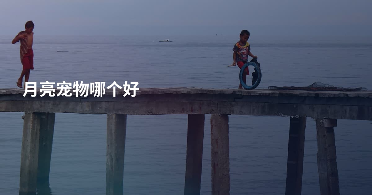 月亮宠物哪个好