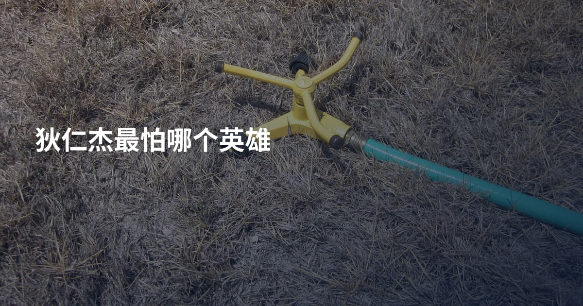 狄仁杰最怕哪个英雄