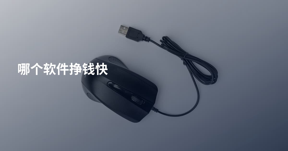 哪个软件挣钱快