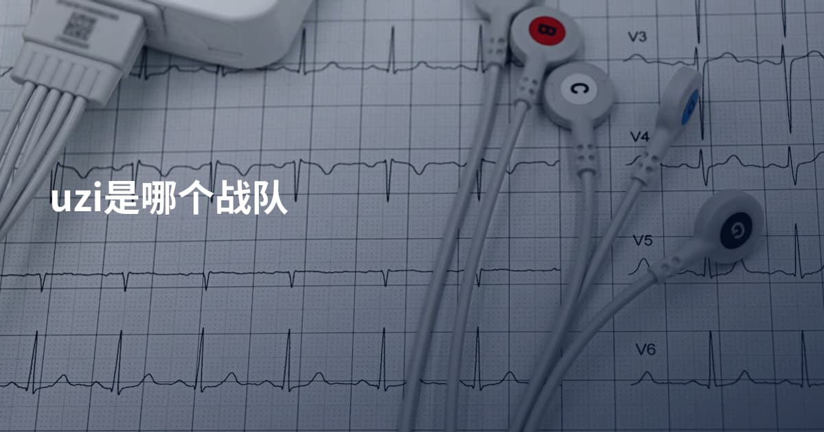 uzi是哪个战队