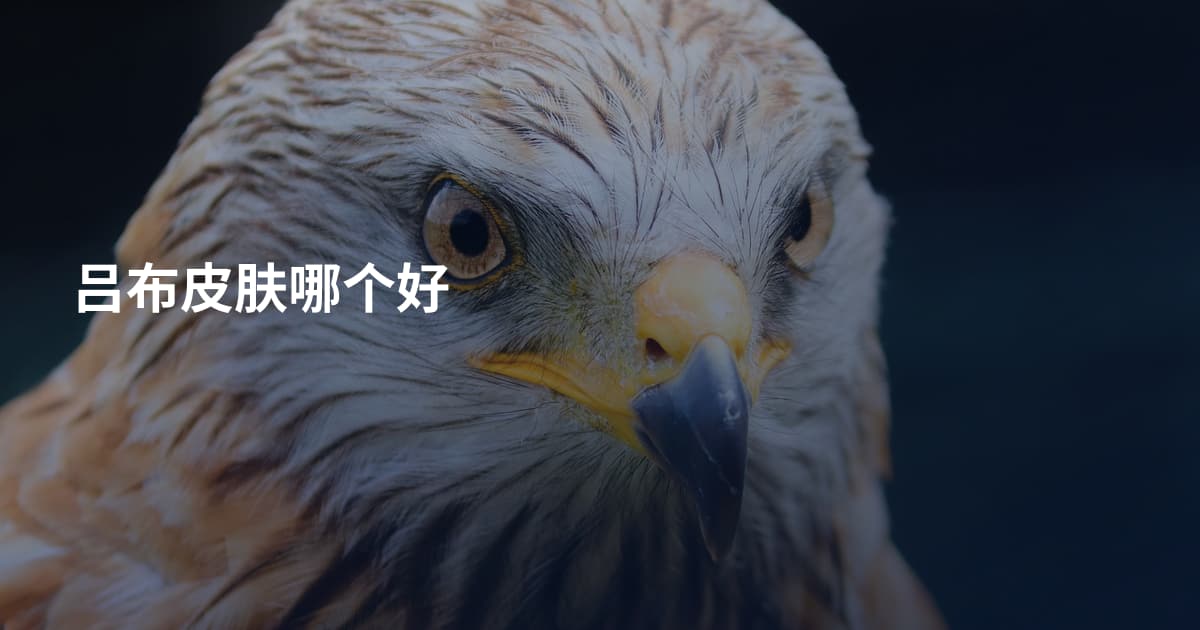 吕布皮肤哪个好