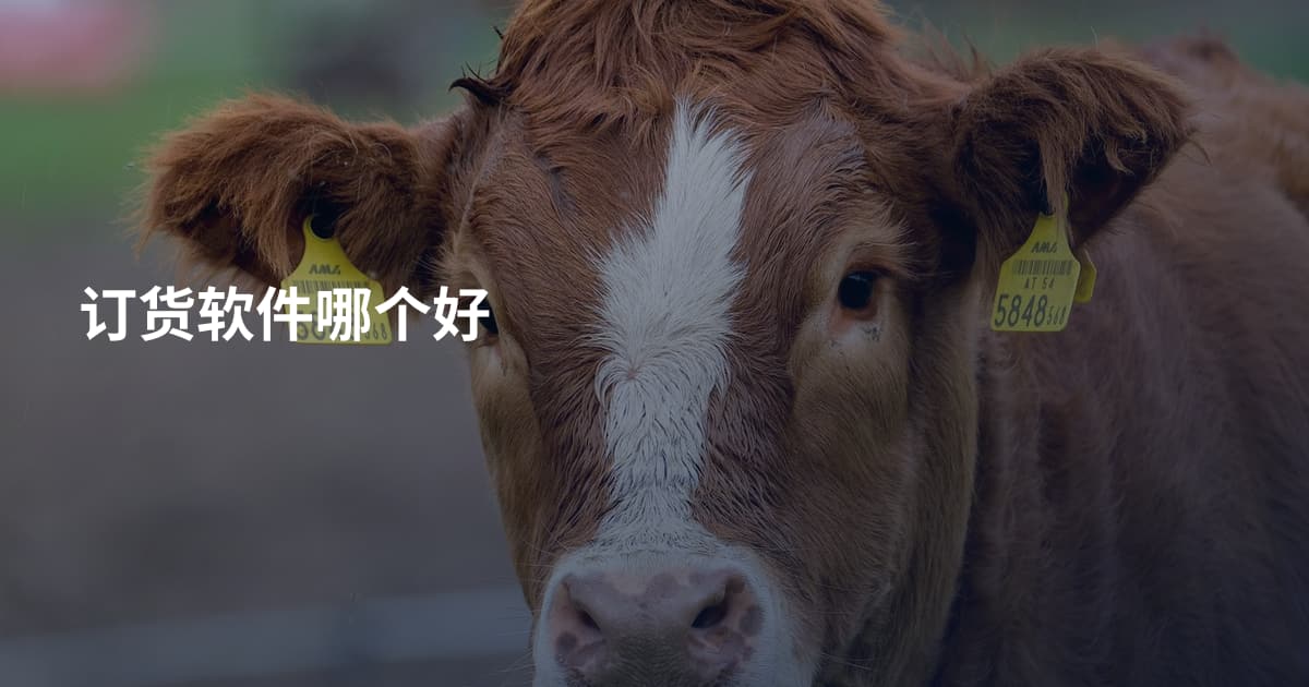 订货软件哪个好