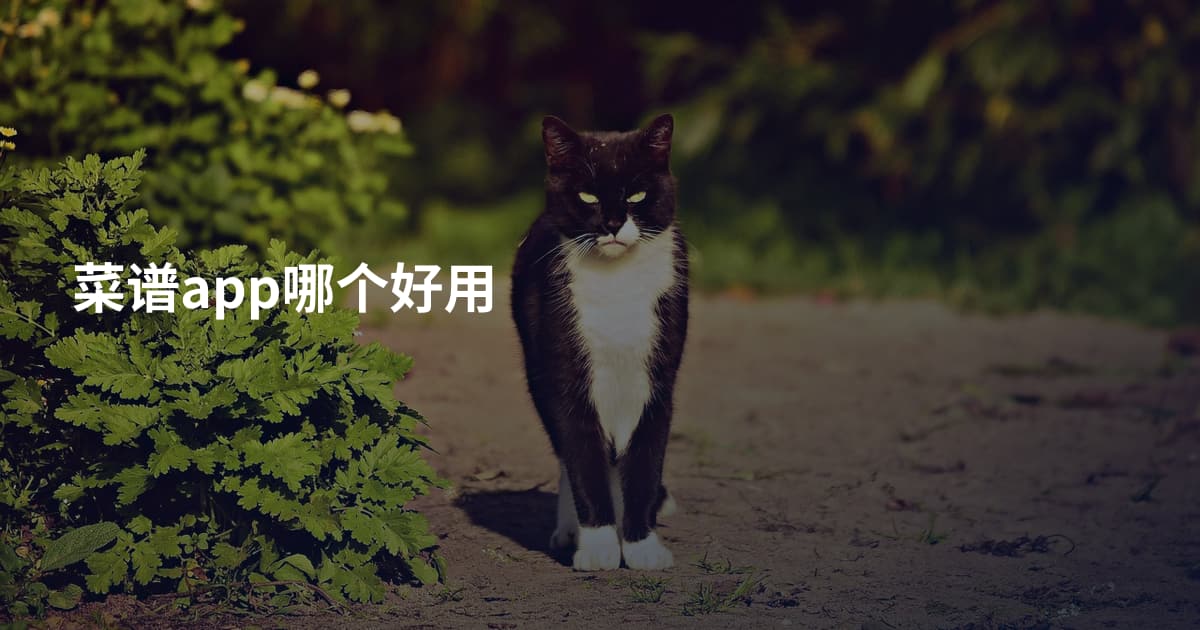 菜谱app哪个好用