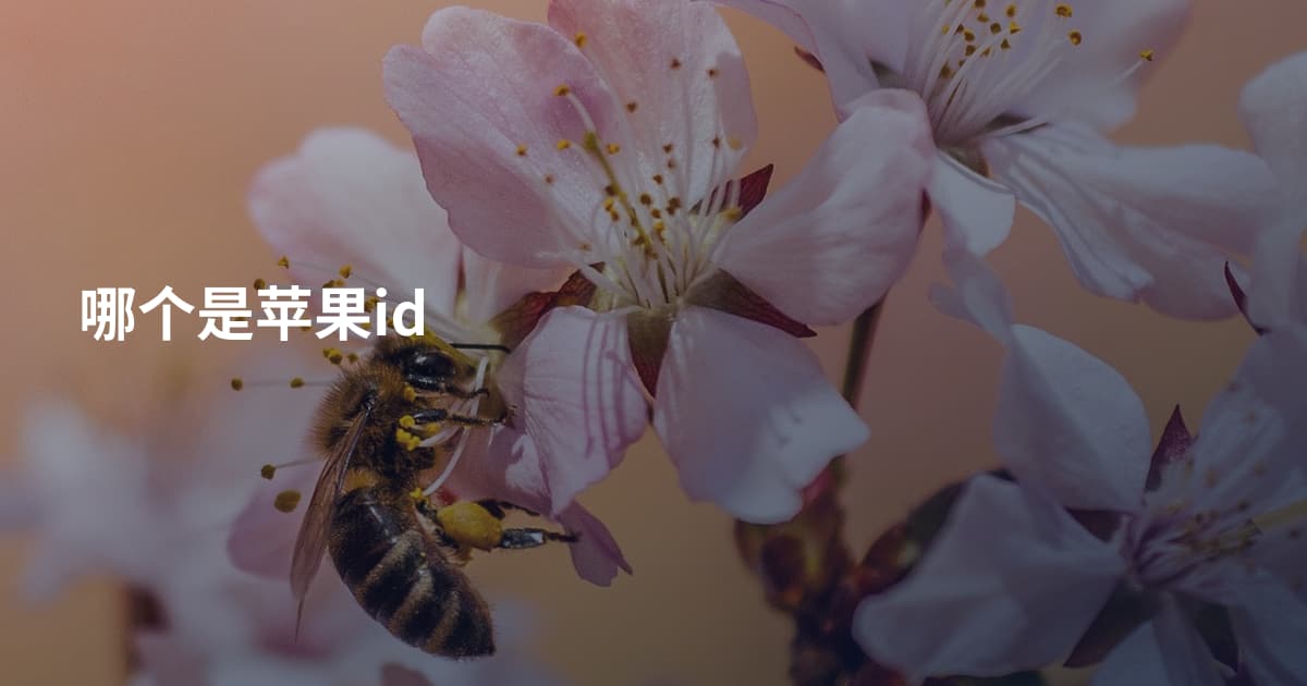 哪个是苹果id