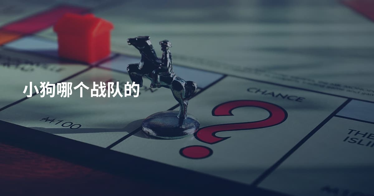 小狗哪个战队的