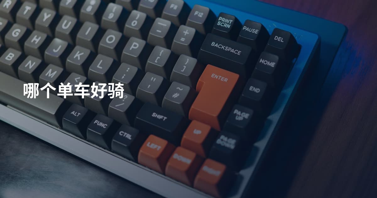 哪个单车好骑