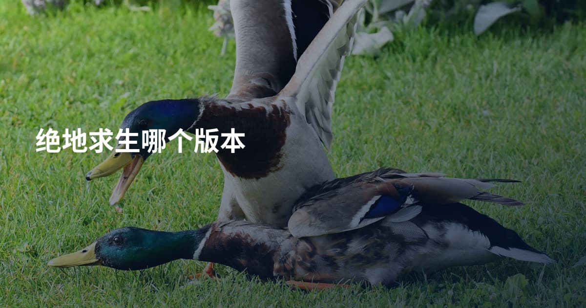 绝地求生哪个版本