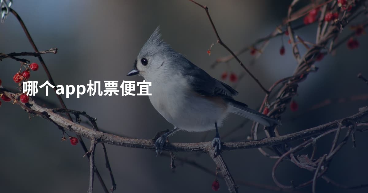 哪个app机票便宜
