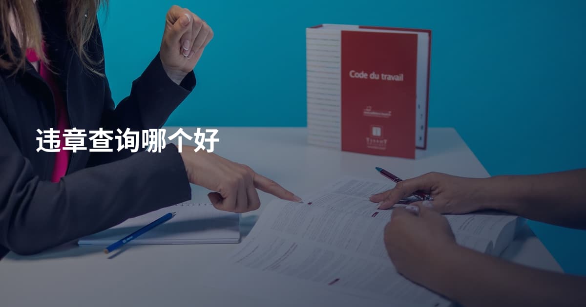 违章查询哪个好