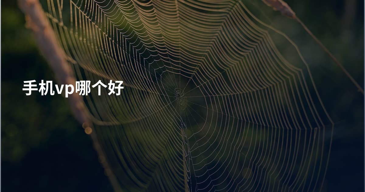 手机vp哪个好