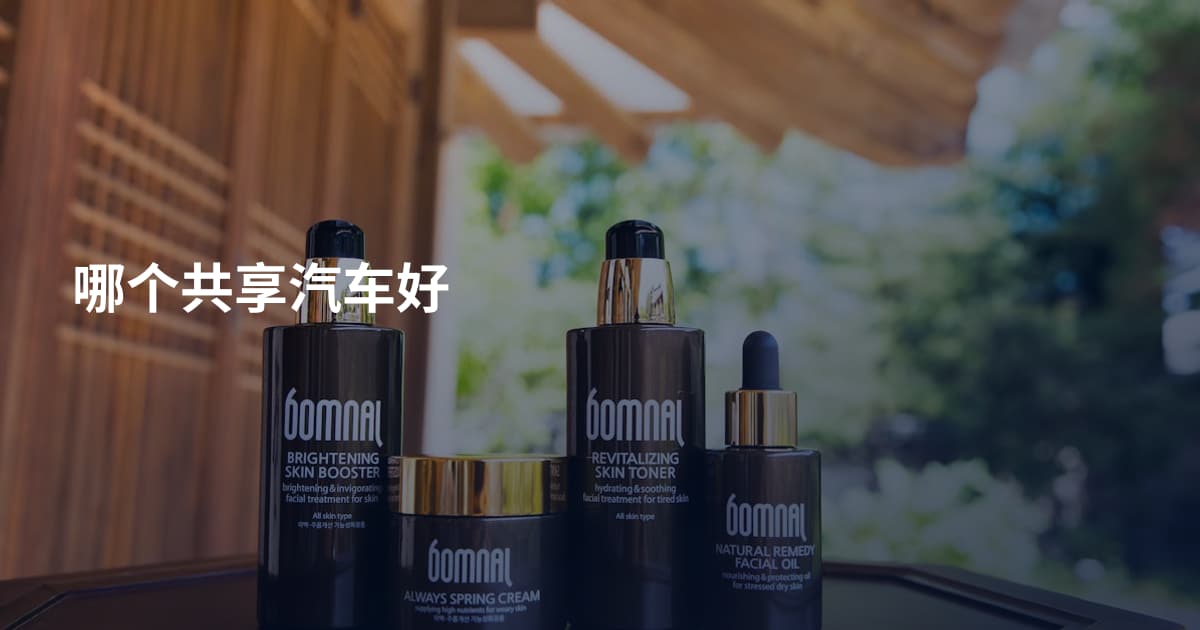 哪个共享汽车好