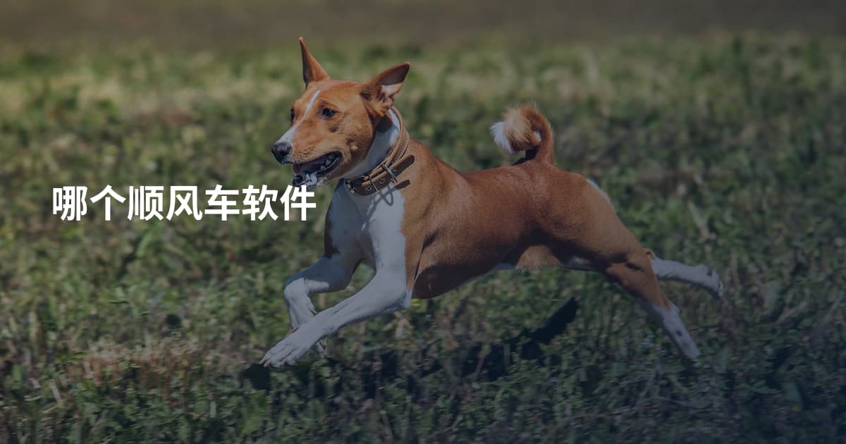 哪个顺风车软件