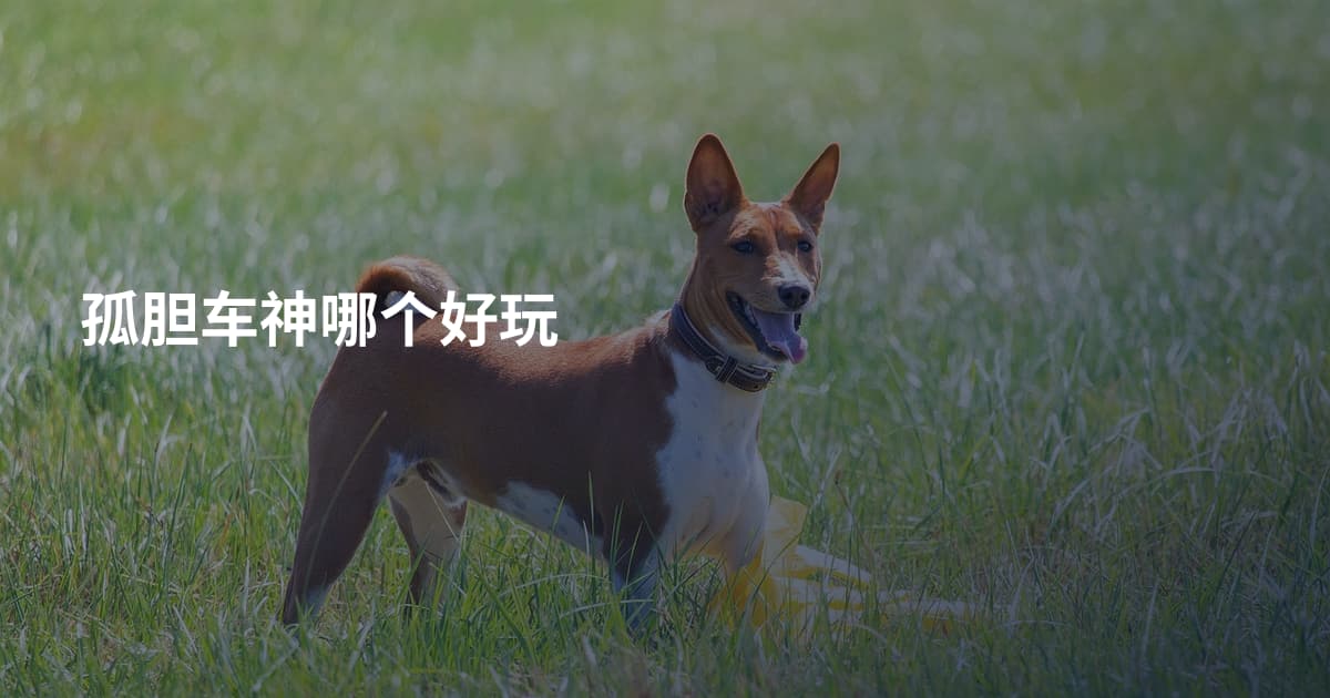 孤胆车神哪个好玩