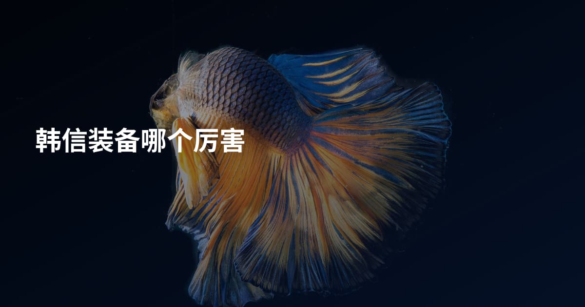 韩信装备哪个厉害