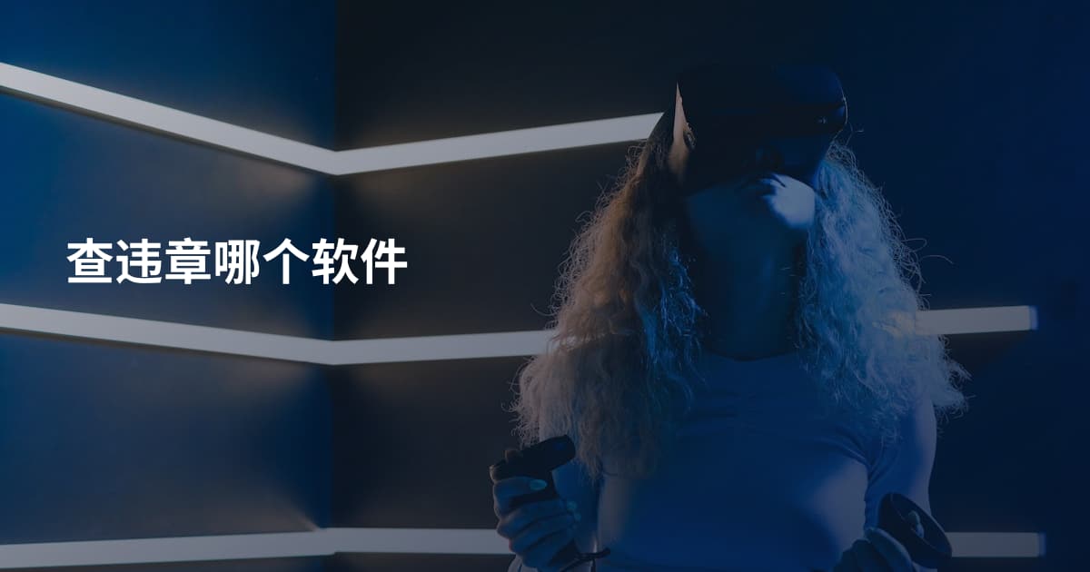 查违章哪个软件