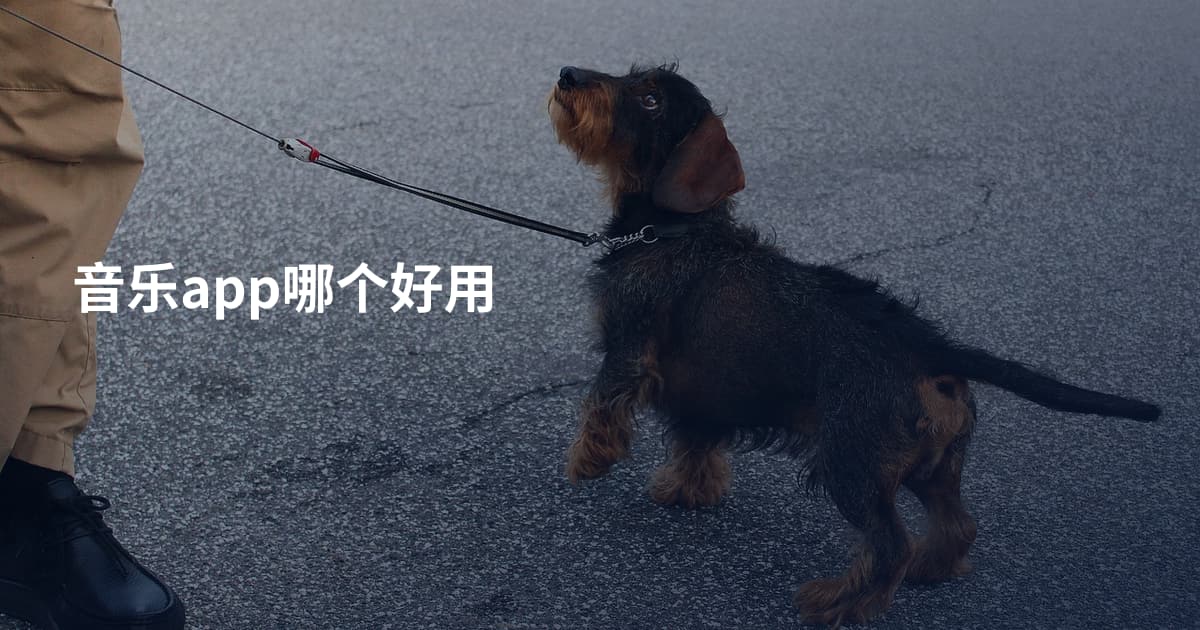 音乐app哪个好用