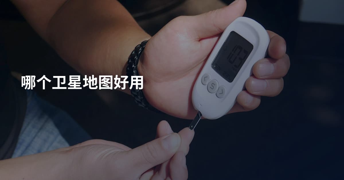 哪个卫星地图好用
