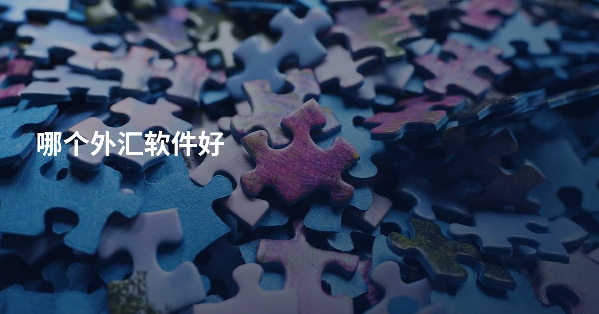 哪个外汇软件好