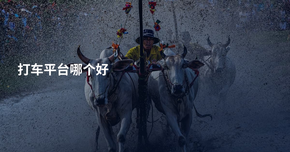打车平台哪个好