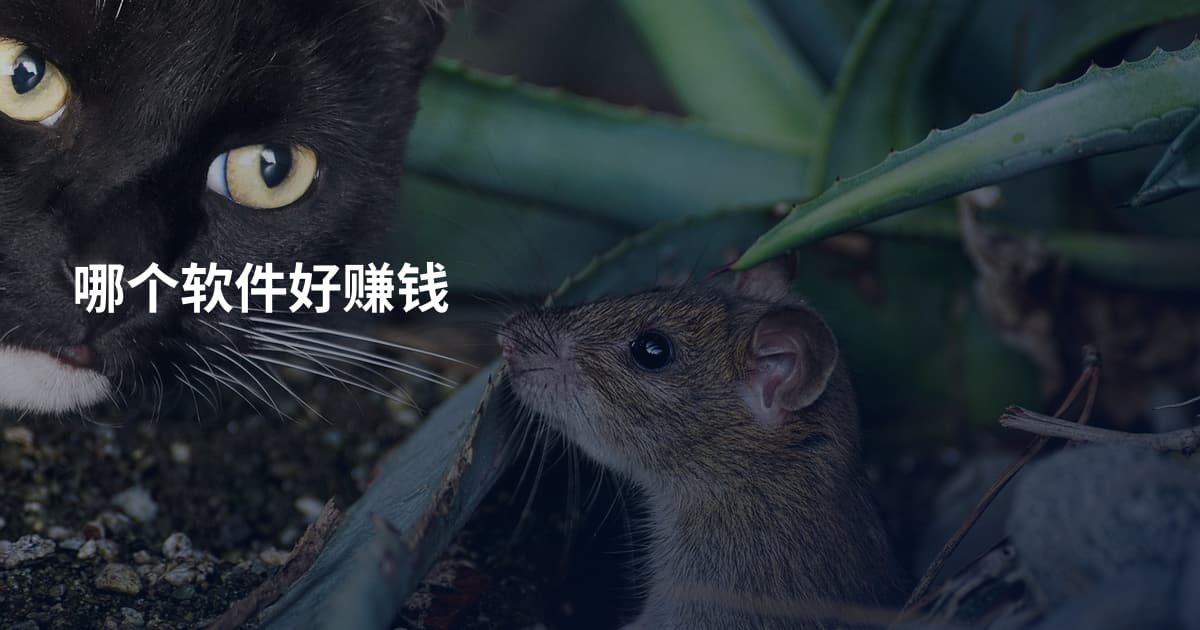 哪个软件好赚钱
