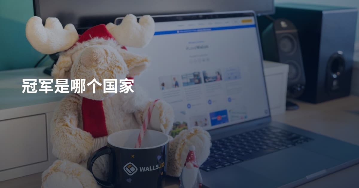 冠军是哪个国家