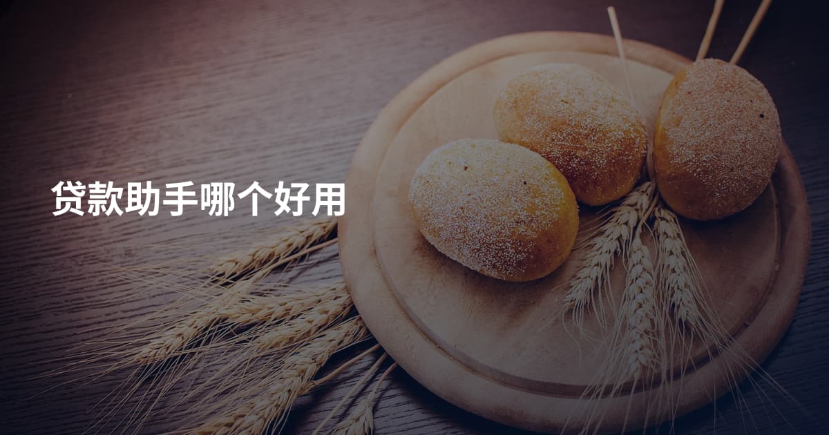 贷款助手哪个好用