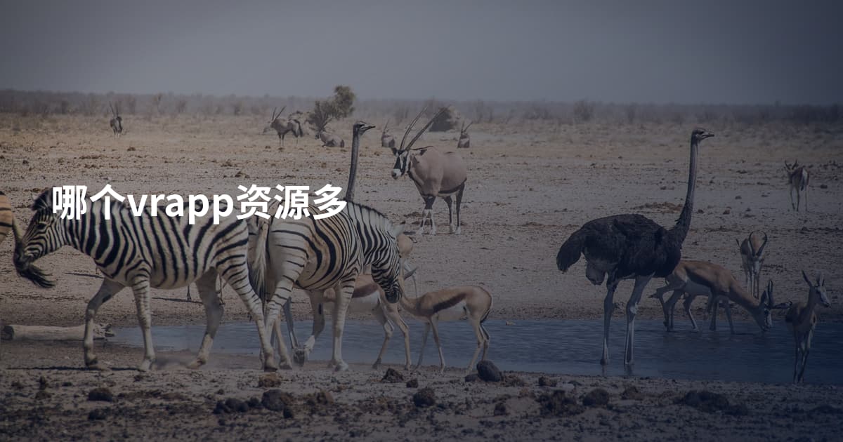 哪个vrapp资源多