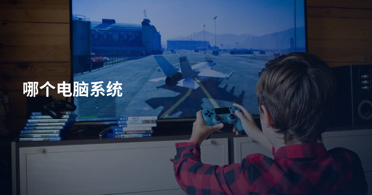 哪个电脑系统