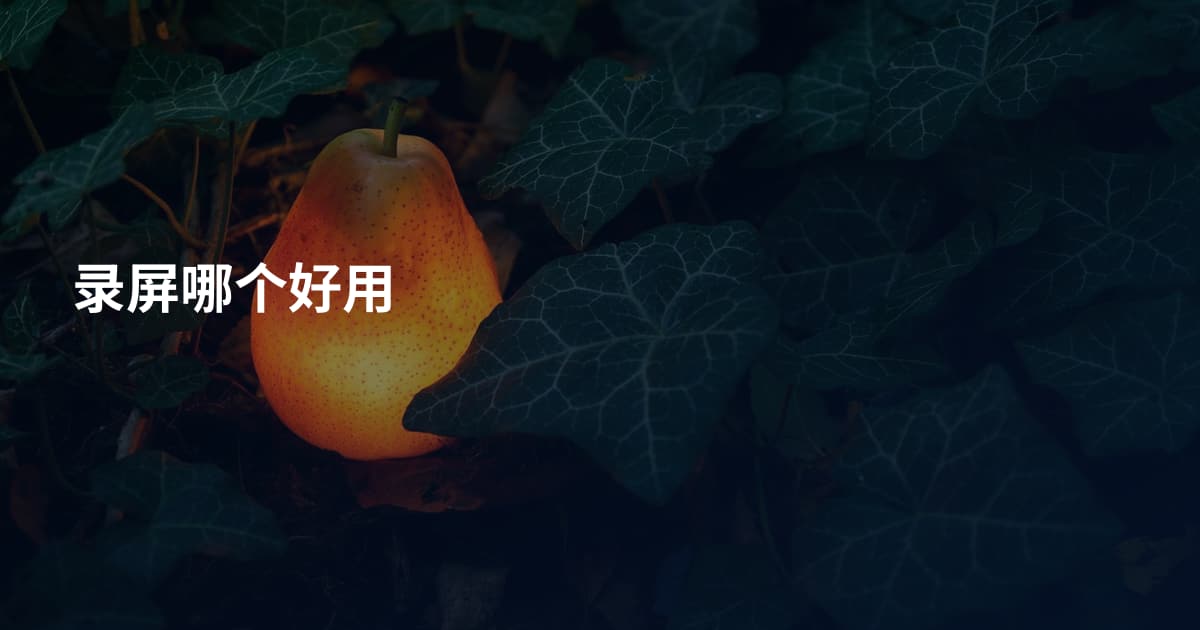 录屏哪个好用