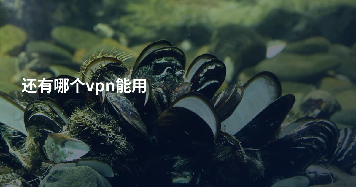 还有哪个vpn能用