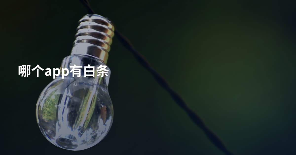 哪个app有白条